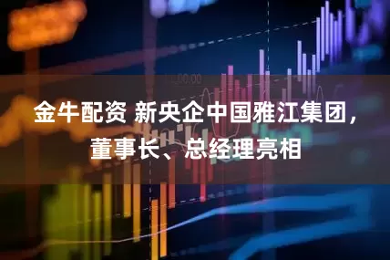 金牛配资 新央企中国雅江集团，董事长、总经理亮相